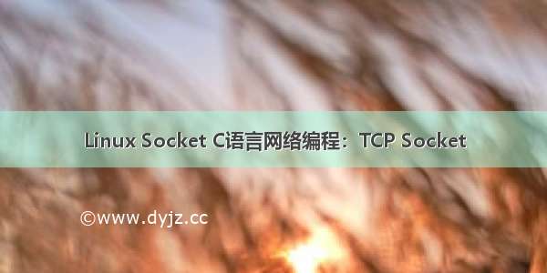 Linux Socket C语言网络编程：TCP Socket