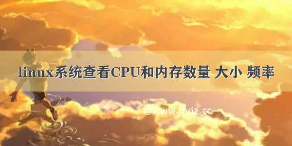 linux系统查看CPU和内存数量 大小 频率