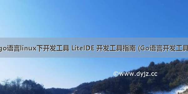 go语言linux下开发工具 LiteIDE 开发工具指南 (Go语言开发工具)