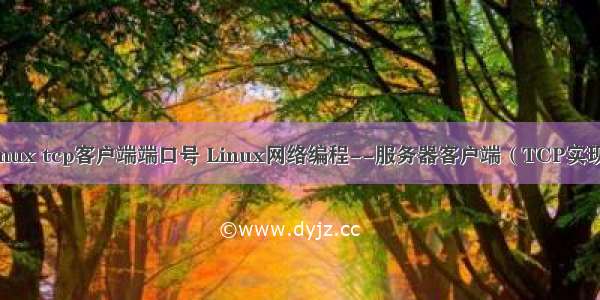 linux tcp客户端端口号 Linux网络编程--服务器客户端（TCP实现）