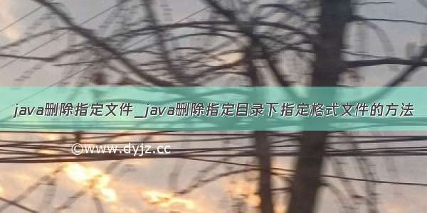 java删除指定文件_java删除指定目录下指定格式文件的方法