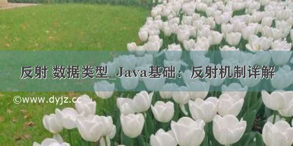 反射 数据类型_Java基础：反射机制详解