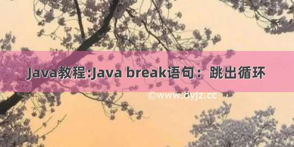 Java教程:Java break语句：跳出循环