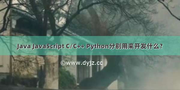 Java JavaScript C/C++ Python分别用来开发什么？