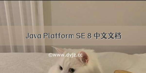 Java Platform SE 8 中文文档