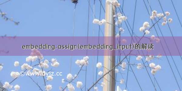 embedding.assign(embedding_input)的解读