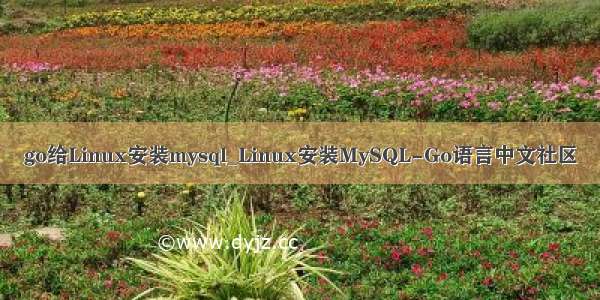 go给Linux安装mysql_Linux安装MySQL-Go语言中文社区