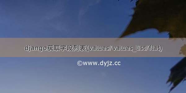 django获取字段列表(values/values_list/flat)