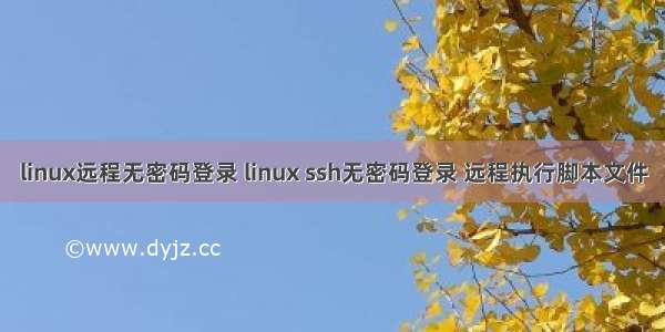 linux远程无密码登录 linux ssh无密码登录 远程执行脚本文件