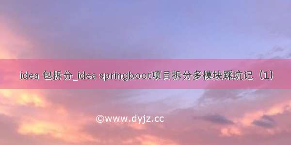 idea 包拆分_idea springboot项目拆分多模块踩坑记（1）