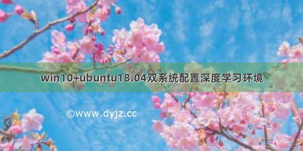 win10+ubuntu18.04双系统配置深度学习环境