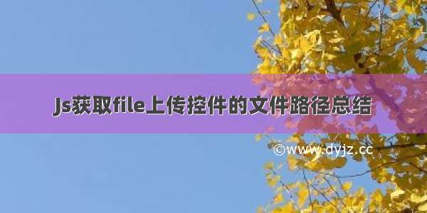 Js获取file上传控件的文件路径总结