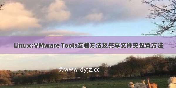 Linux:VMware Tools安装方法及共享文件夹设置方法