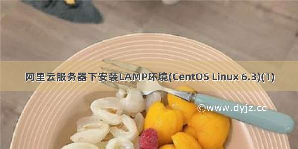 阿里云服务器下安装LAMP环境(CentOS Linux 6.3)(1)