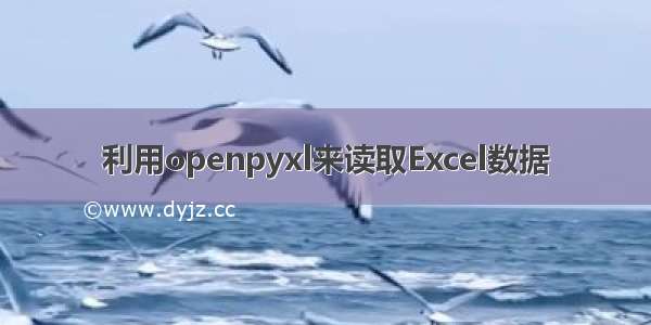 利用openpyxl来读取Excel数据