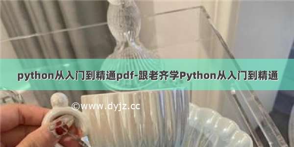 python从入门到精通pdf-跟老齐学Python从入门到精通