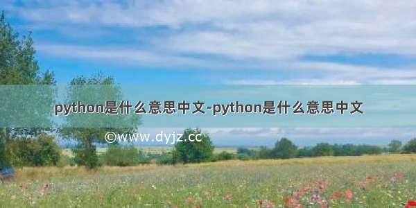 python是什么意思中文-python是什么意思中文