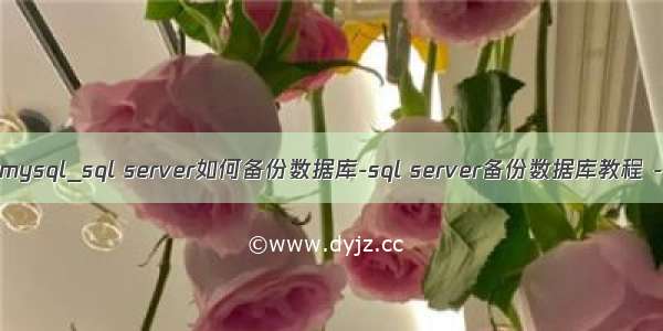 sqlserver导出mysql_sql server如何备份数据库-sql server备份数据库教程 - 河东软件园...