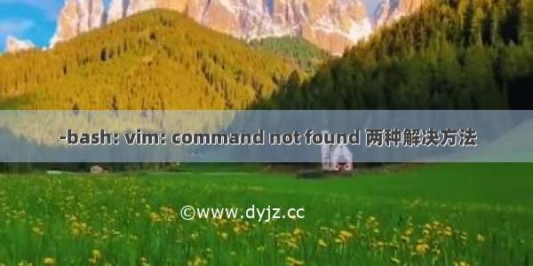 -bash: vim: command not found 两种解决方法