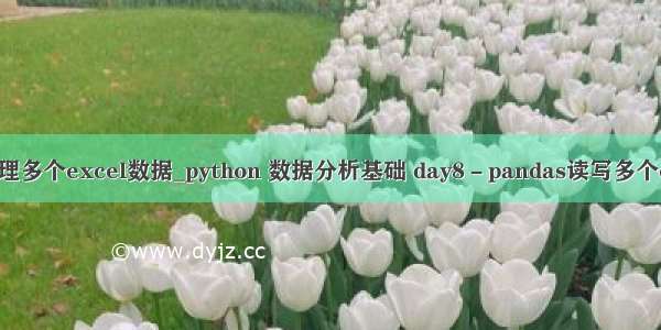 python处理多个excel数据_python 数据分析基础 day8－pandas读写多个excel文件