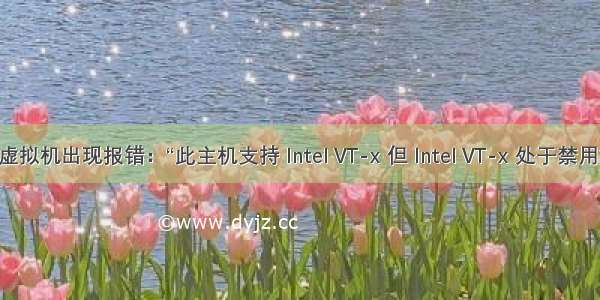 开启虚拟机出现报错：“此主机支持 Intel VT-x 但 Intel VT-x 处于禁用状态”