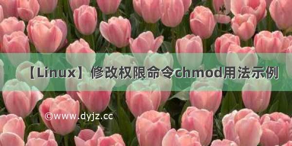 【Linux】修改权限命令chmod用法示例