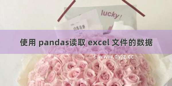 使用 pandas读取 excel 文件的数据