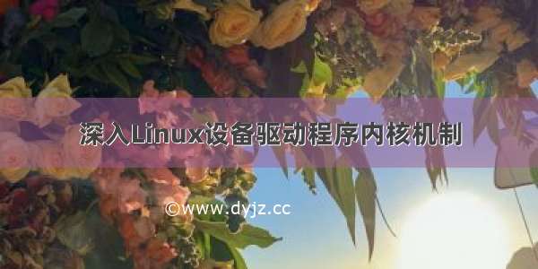 深入Linux设备驱动程序内核机制