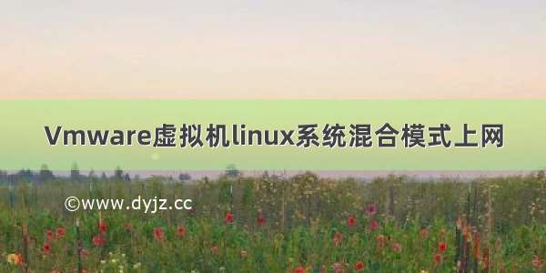 Vmware虚拟机linux系统混合模式上网