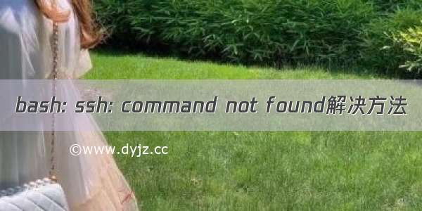 bash: ssh: command not found解决方法