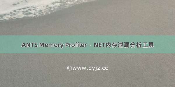 ANTS Memory Profiler -  NET内存泄漏分析工具