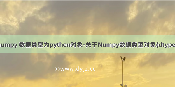python numpy 数据类型为python对象-关于Numpy数据类型对象(dtype)使用详解