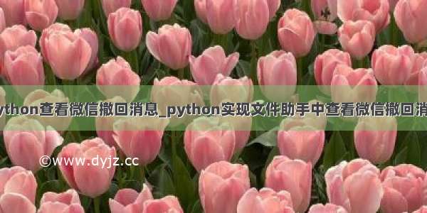 python查看微信撤回消息_python实现文件助手中查看微信撤回消息