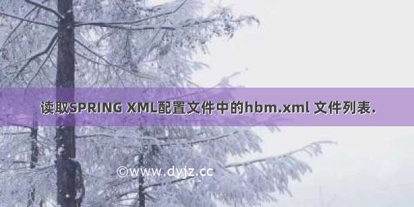 读取SPRING XML配置文件中的hbm.xml 文件列表.