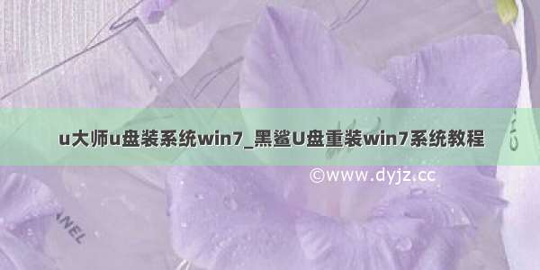 u大师u盘装系统win7_黑鲨U盘重装win7系统教程