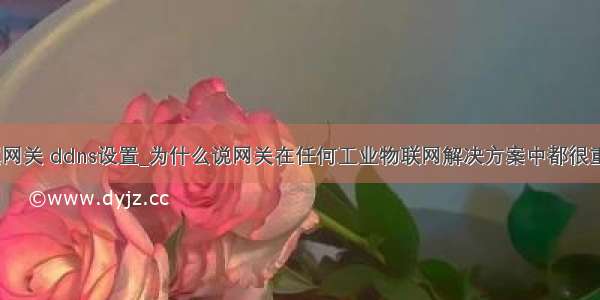 天翼网关 ddns设置_为什么说网关在任何工业物联网解决方案中都很重要？