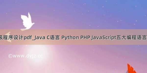 javascript高级程序设计pdf_Java C语言 Python PHP JavaScript五大编程语言 要学哪个？...