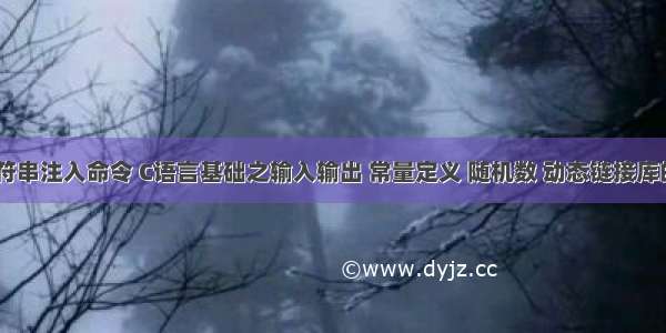 c语言字符串注入命令 C语言基础之输入输出 常量定义 随机数 动态链接库的注入 数