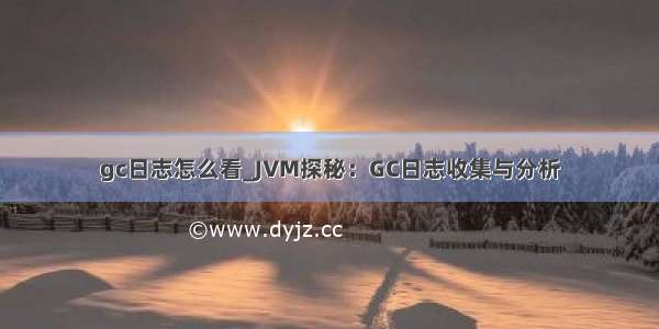 gc日志怎么看_JVM探秘：GC日志收集与分析