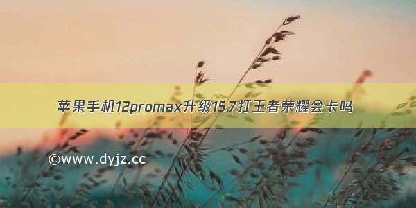 苹果手机12promax升级15.7打王者荣耀会卡吗