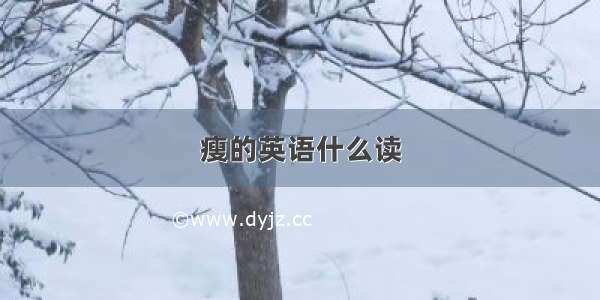 瘦的英语什么读