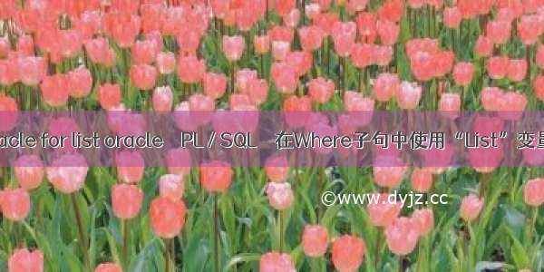 oracle for list oracle – PL / SQL – 在Where子句中使用“List”变量