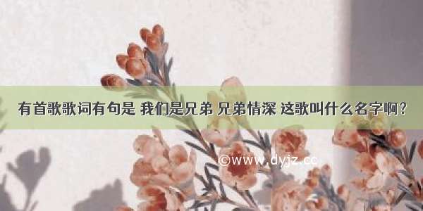 有首歌歌词有句是 我们是兄弟 兄弟情深 这歌叫什么名字啊？