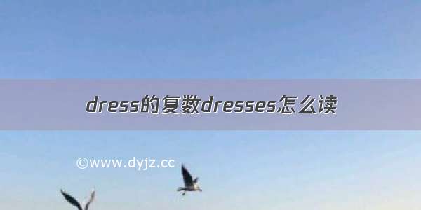 dress的复数dresses怎么读