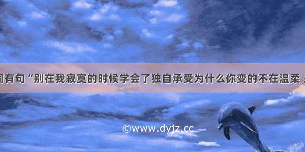 有首歌歌词有句“别在我寂寞的时候学会了独自承受为什么你变的不在温柔 是什么歌名