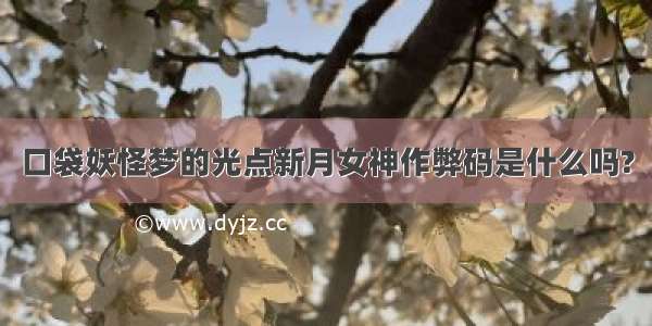 口袋妖怪梦的光点新月女神作弊码是什么吗?