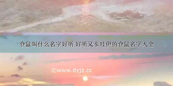 仓鼠叫什么名字好听 好听又卡哇伊的仓鼠名字大全