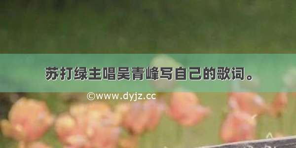 苏打绿主唱吴青峰写自己的歌词。