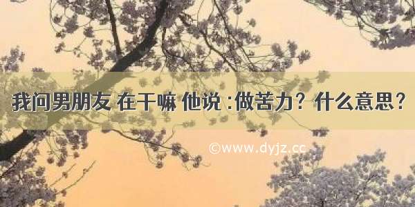 我问男朋友 在干嘛 他说 :做苦力？什么意思？