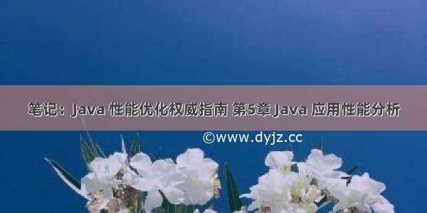 笔记：Java 性能优化权威指南 第5章 Java 应用性能分析